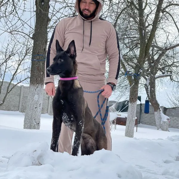 Meet Kobe