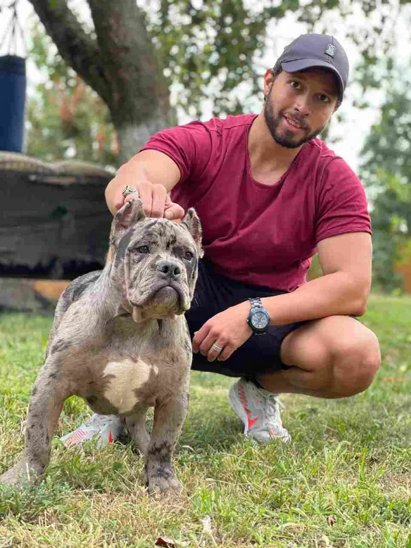 Meet Rocky