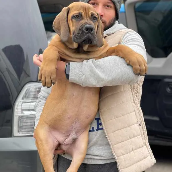 Meet Axel