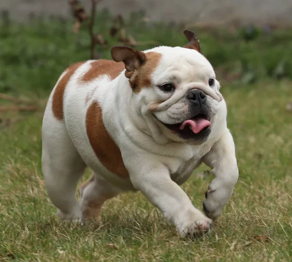 Meet Doris