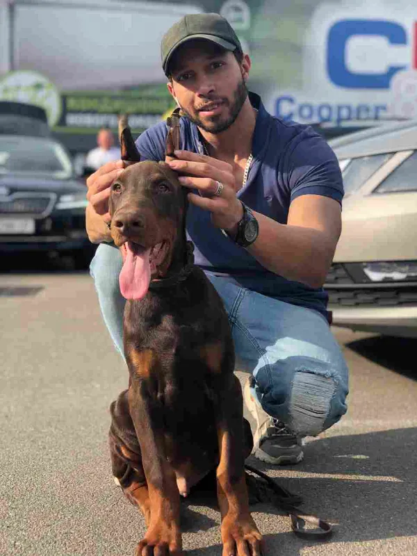 Doberman Leo