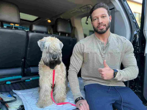 Airedale Terrier Charlie