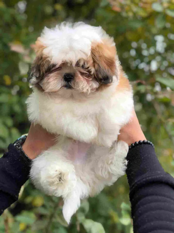 Meet Jack