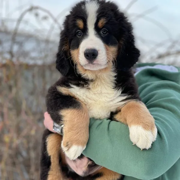 Meet Kilo