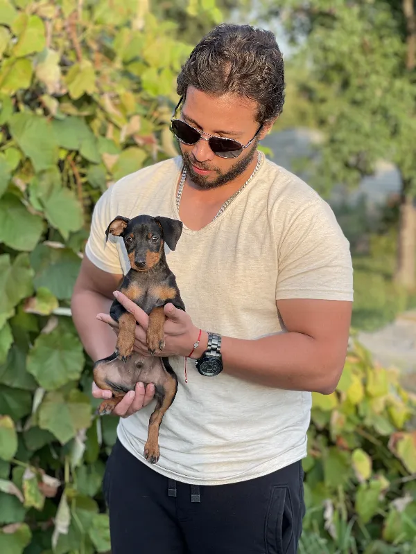 Meet Gus