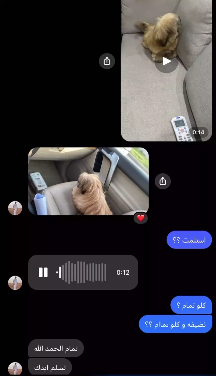 Shih Tzu client journey