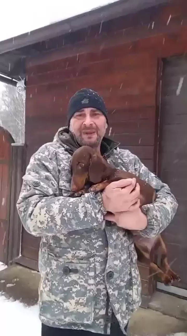 Dachshund client journey