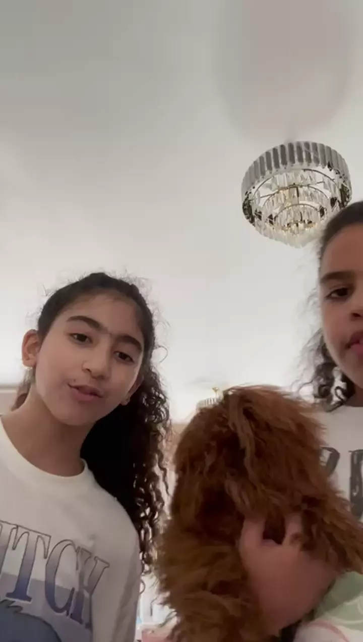 Toy Poodle client journey